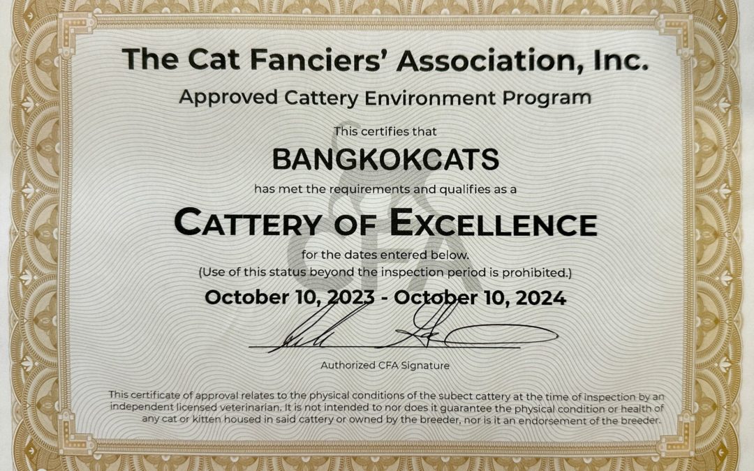 BangkokCats, Cattery of Excellence