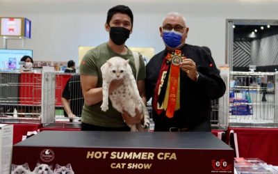 “Hot Summer” CFA Cat Show results